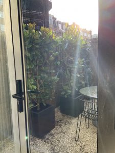 Courtyard 1
